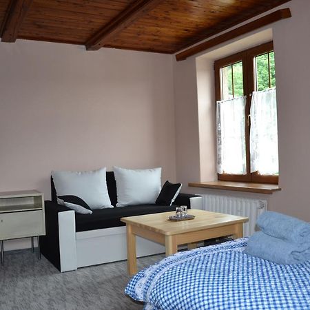 Penzion Pod Severakem Lučany nad Nisou Exterior foto